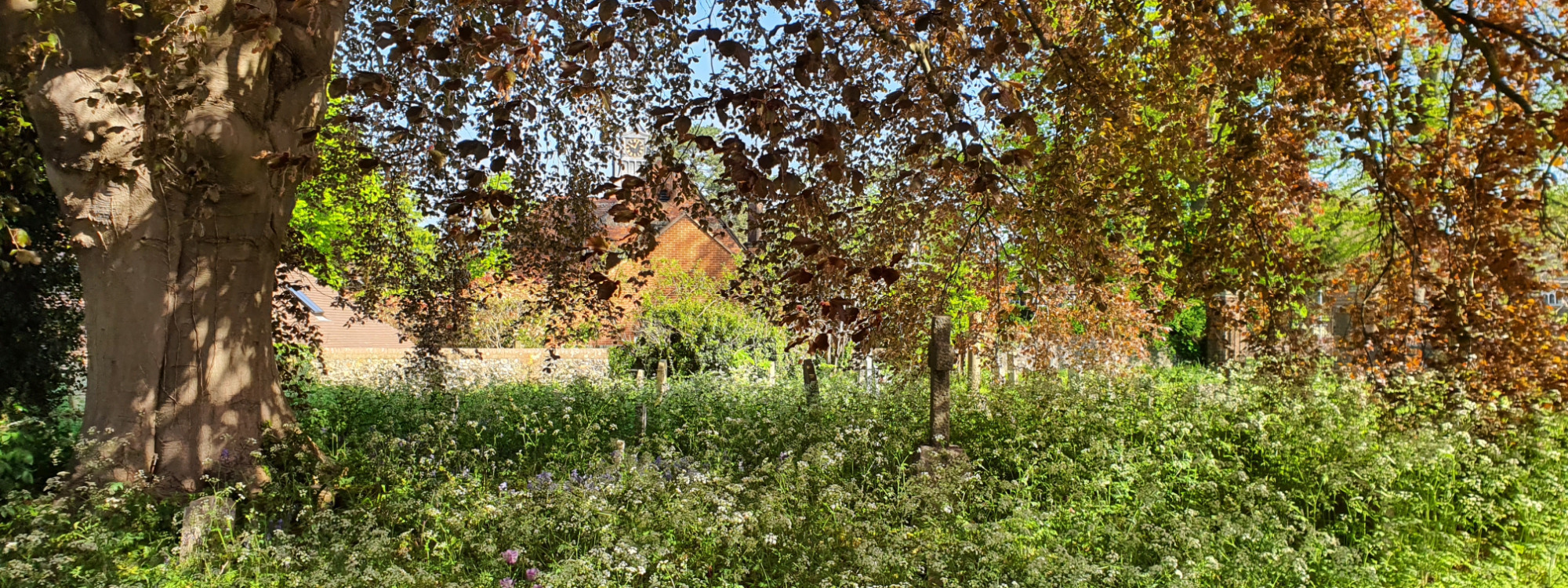 WELCOME*ABOUT US*DISCOVER MORE