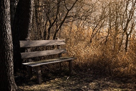 Bench outside px