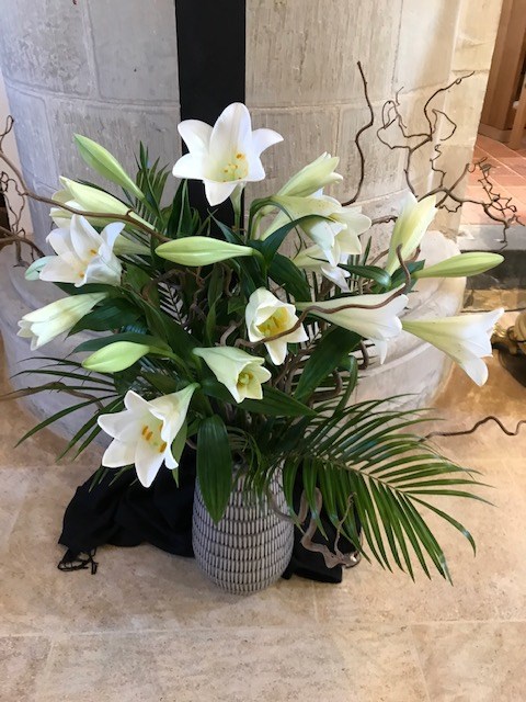 Easter lily 3 JB