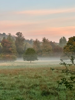 Autumn thankfulness