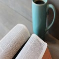 Bible Reading