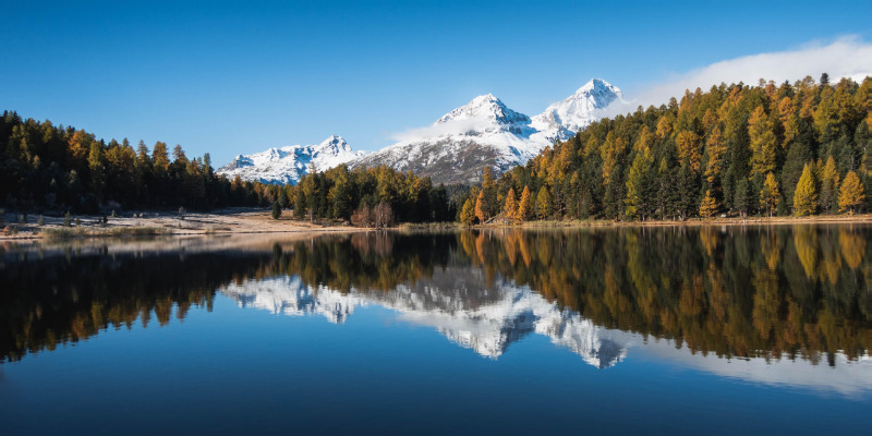 Reflections